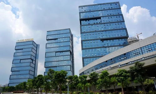 南寧經開區 運用容錯糾錯機制激勵干部擔當作為