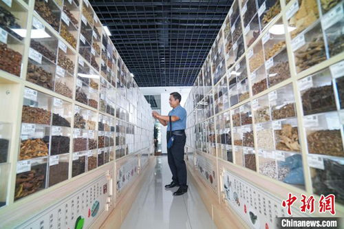 長治多舉措引智引技激活高質(zhì)量發(fā)展 一池春水